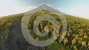 Mayon Volcano near Legazpi city in Philippines. Aerial view over the palm jungle and plantation at sunset. Mayon Volcano