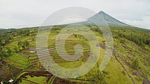 Mayon Volcano near Legazpi city in Philippines. Aerial view over rice fields. Mayon Volcano is an active volcano and
