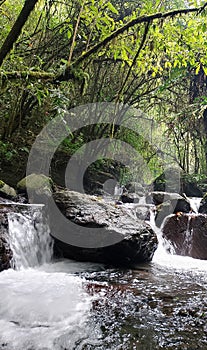 Beauty Mayong polak forest and lake