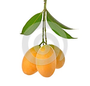 Mayongchid hanging chain on white background