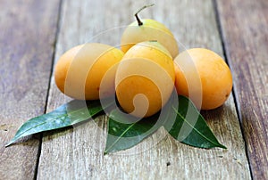 Mayongchid Maprang Marian Plum and Plum Mango