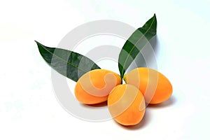 Mayongchid , Mayongchit marian plum, gandaria, plum mango, white background