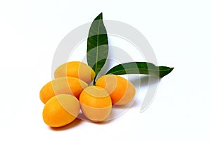 Mayongchid , Mayongchit marian plum, gandaria, plum mango,white background