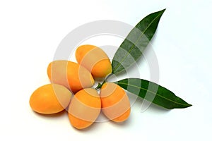 Mayongchid , Mayongchit marian plum, gandaria, plum mango,white background