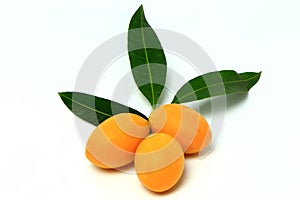 Mayongchid , Mayongchit marian plum, gandaria, plum mango,white background