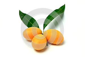 Mayongchid , Mayongchit marian plum, gandaria, plum mango,white background