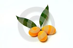 Mayongchid , Mayongchit marian plum, gandaria, plum mango,white background