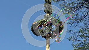 Maypole with colourful ribbons and blue sky in wind. German tradition