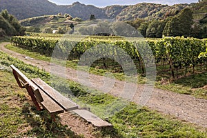 Mayschoss Village in Ahr Valley, Germany