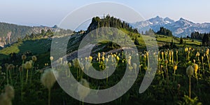 Mazama Ridge with wildflowers at Mount Rainier Washington
