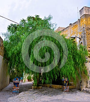 Mazara del vallo sicily italy