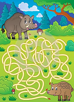 Maze 29 with wild pigs