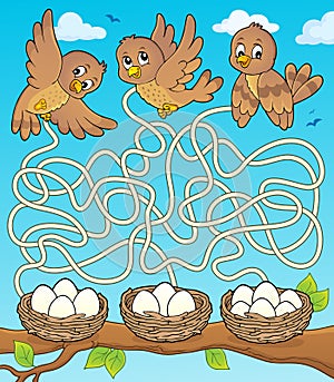 Maze 34 with birds and nests photo