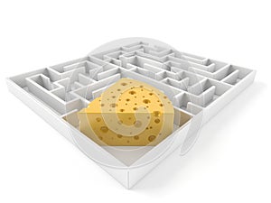 Maze with cheese