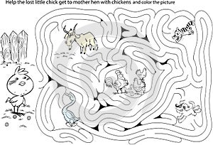 Maze coloring with mother hen and lost chick