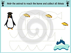 Maze game. Educational children cartoon game for children of preschool age. Help to find the way home to the Arctic penguin and fe