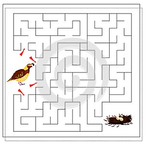 A maze game for kids. guide the bird through the maze to the nest with eggs. Quail. Vector