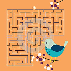 Maze game Labyrinth bird vector illustration. Colorful puzzle for kids