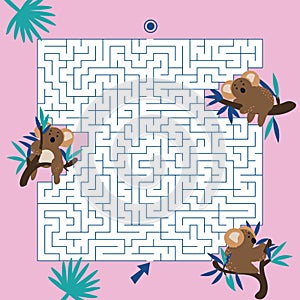 Maze game Labyrinth Koalas vector illustration. Colorful puzzle for kids photo