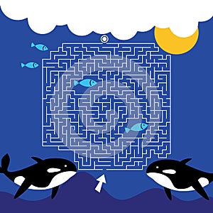 Maze game Labyrinth Whales vector illustration. Colorful puzzle for kids