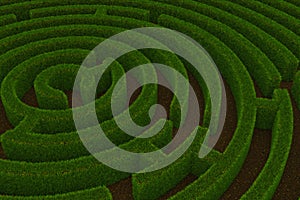 Maze with grass walls.