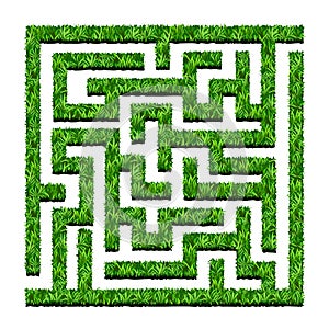 Maze of green bushes, labyrinth garden. Vector illustration. Iso