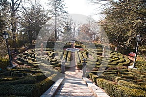 Maze of hedges, Villa Revoltella