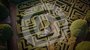 Maze of Intricacy: Aerial View of Labyrinth