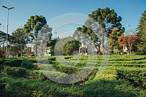 Maze made of evergreen bushes in a garden