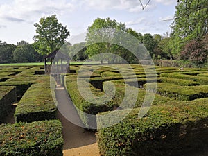 Maze magical Hanwell Ealing Green hedge