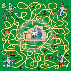 Maze - mole, leisure activity, game, vector illustration