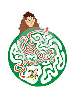 Maze puzzle for kids with monkey and banana. Labyrinth illustration, solution included.