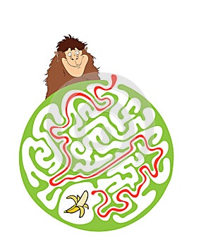 Maze puzzle for kids with monkey and banana. Labyrinth illustration, solution included.