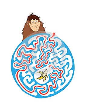 Maze puzzle for kids with monkey and banana. Labyrinth illustration, solution included.