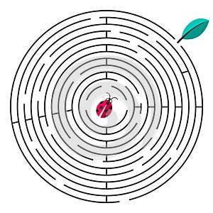 Maze Vector Illustration. Circle Maze with Ladybug