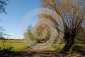 Mazowsze in central Poland