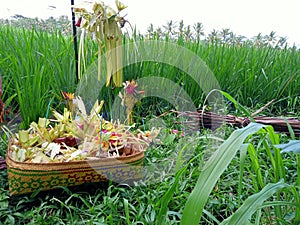MByukung tradition bali