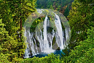 McArthur-Burney Falls photo