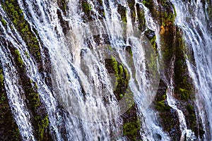 McArthur-Burney falls in Shasta National Forest