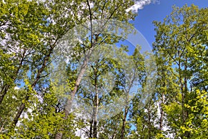 McCarthy Beach State Park in Northern Minnesota