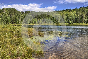 McCarthy Beach State Park in Northern Minnesota