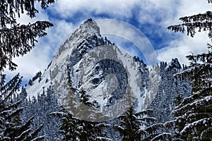 McClellan Butte Snow Mountain Peak Through Trees Snoqualme Pass