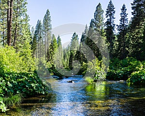 McCloud River flowing through Shasta National Forest, Siskiyou County, Northern California