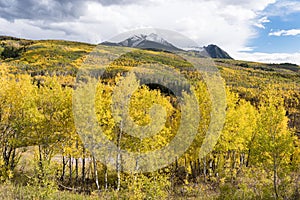 McClure Pass Colorado in the fall, with Chair Mountain above the aspen tree.