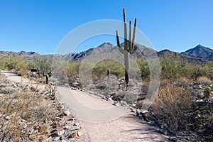 McDowell Sonoran Preserve, Arizona