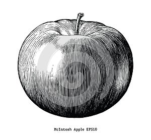 Mcintosh apple hand draw vintage clip art isolated on white back