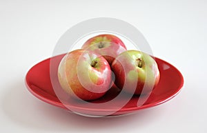 McIntosh Apples on Red Plate photo