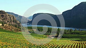 McIntyre Bluff Vineyard Winery Okanagan Falls British Columbia