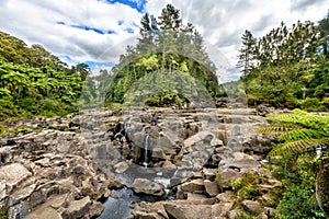 Mclaren Falls in the north island of new zealand