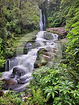 McLean Falls (Catlins Forest Park New Zealand)